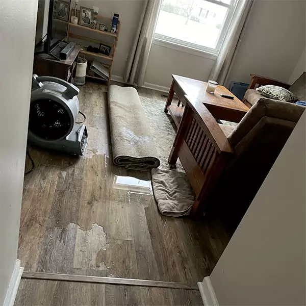 Water Restoration in Plymouth, MA