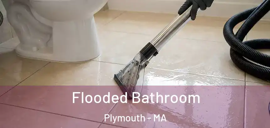  Flooded Bathroom Plymouth - MA