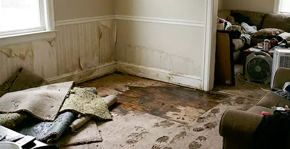 Why Choose Plymouth Water Restoration For Water Damage Restoration Services in Plymouth, MA?