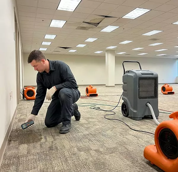 Why Businesses Choose Plymouth Water Restoration for Commercial Water Damage in Plymouth, MA?