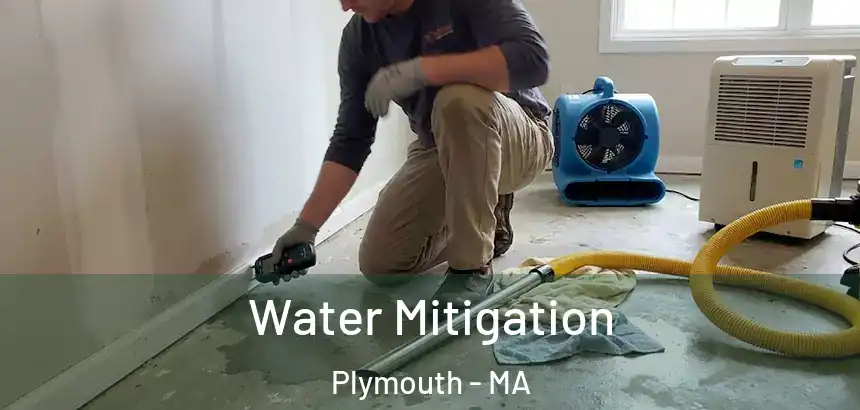  Water Mitigation Plymouth - MA