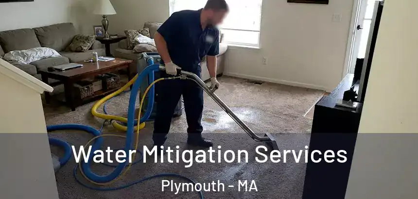  Water Mitigation Services Plymouth - MA