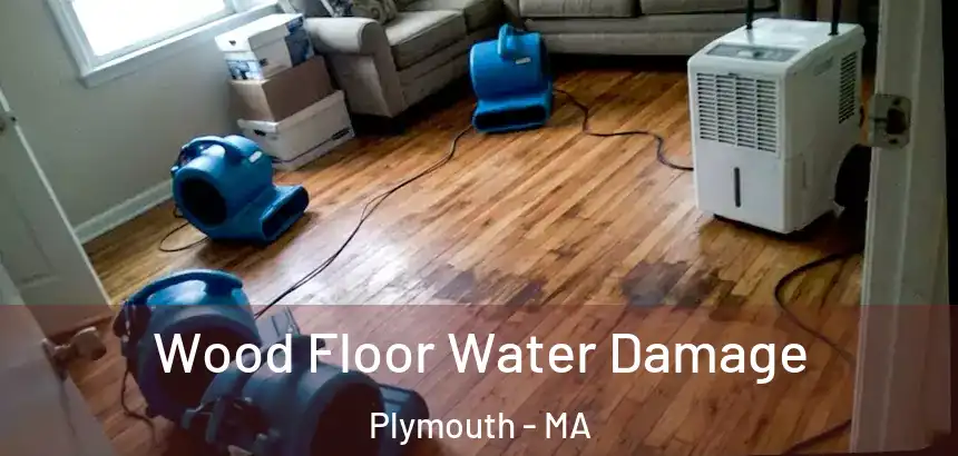 Wood Floor Water Damage Plymouth - MA